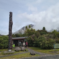 2026-02-14 105256 Motorola e60