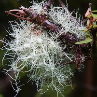 2026-02-14 172149 DSC00674 SONY a77m2