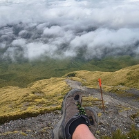 2026-02-14 151539 Motorola e60