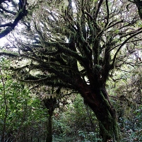 2026-02-14 173016 DSC00677 SONY a77m2