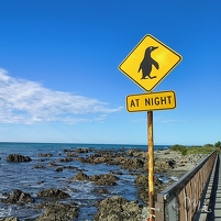 2026-02-19 093038 Motorola e60