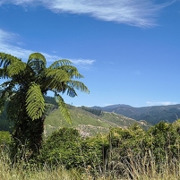 2026-02-21 130334 Motorola e60