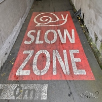 2026-02-19 172324 Motorola e60