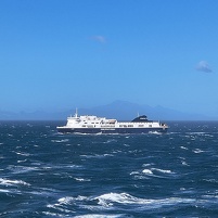 2026-02-20 095427 Motorola e60