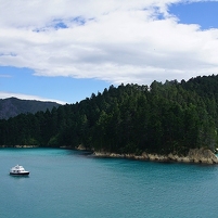 2026-02-20 110627 DSC00751 SONY a77m2