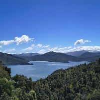 2026-02-20 124608 Motorola e60