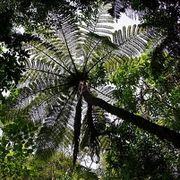 2026-02-21 115145 DSC00779 SONY a77m2