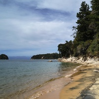 2026-02-21 120727 Motorola e60