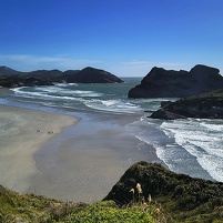 2026-02-21 163213 Motorola e60