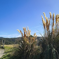 2026-02-21 171444 Motorola e60