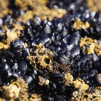 2026-02-21 180013 DSC00829 SONY a77m2