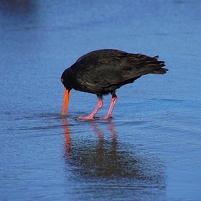 2026-02-21 182658 DSC00853 SONY a77m2