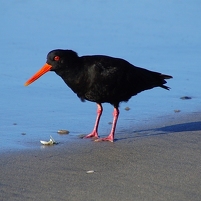 2026-02-21 182910 DSC00864 SONY a77m2