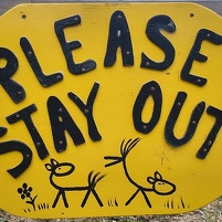 2026-02-22 084234 Motorola e60