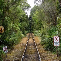 2026-02-23 132701 DSC00892 SONY a77m2