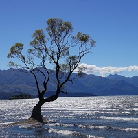 2026-02-25 152757 DSC00920 SONY a77m2