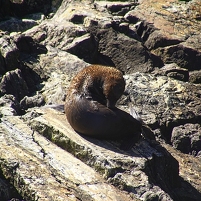 2026-02-27 114237 DSC00992 SONY a77m2