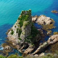 2026-02-28 133351 DSC01095 SONY a77m2