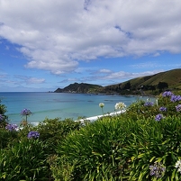 2026-02-28 130133 DSC01094 SONY a77m2