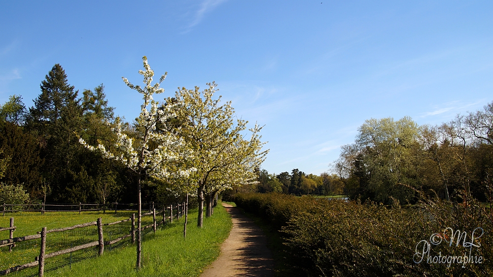 2014-04-17_094910_DSC06778_SONY_SLT-A57.jpg