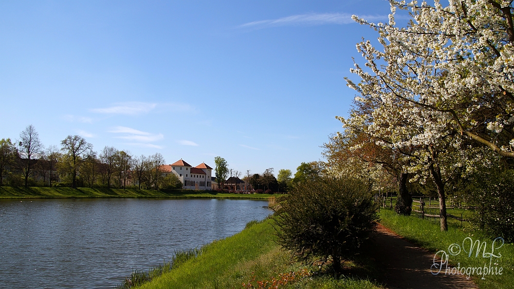 2014-04-17_095038_DSC06780_SONY_SLT-A57.jpg