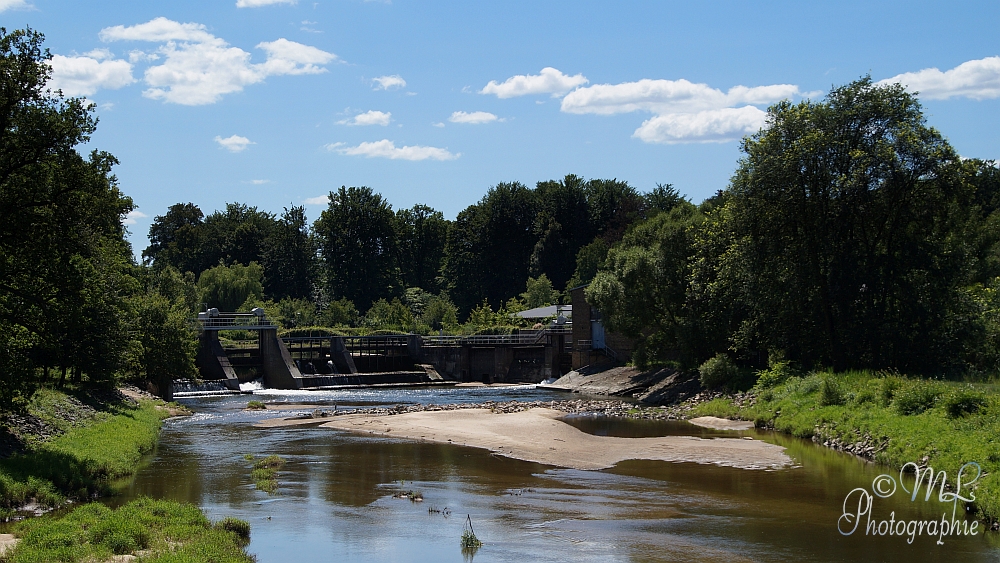 2013-07-21_131757_DSC04910_SONY_SLT-A57.jpg