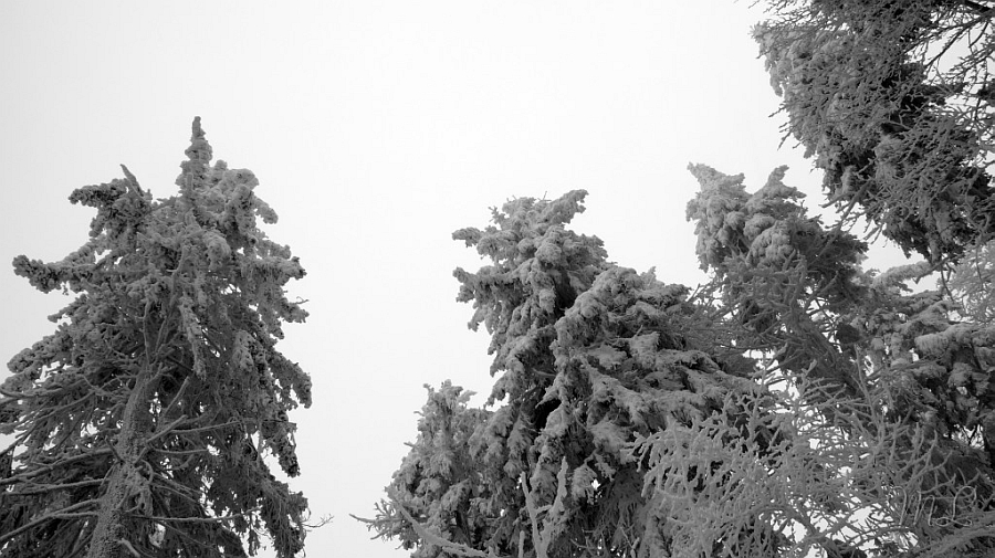 2013-01-20_133017_DSC01808_SONY_SLT-A57.jpg