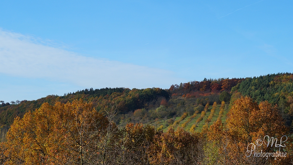 2013-10-22 150749 DSC05991 SONY SLT-A57