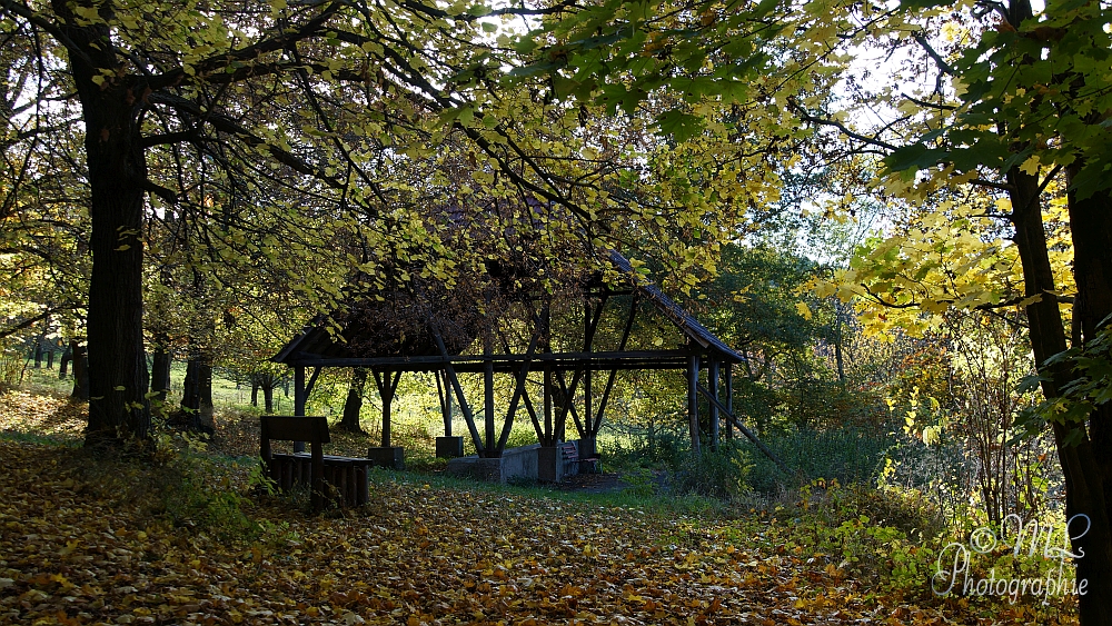 2013-10-22 150945 DSC05994 SONY SLT-A57