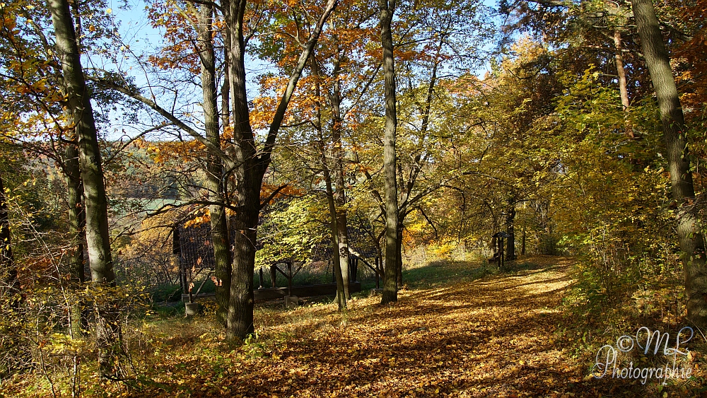 2013-10-22 151528 DSC06006 SONY SLT-A57