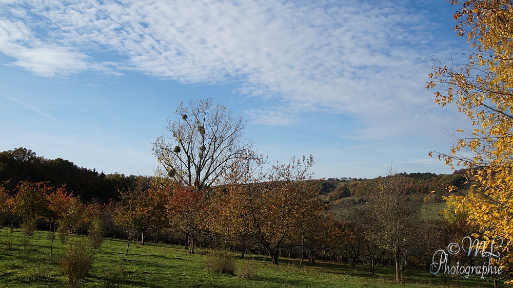 2013-10-22_152749_DSC06018_SONY_SLT-A57.jpg