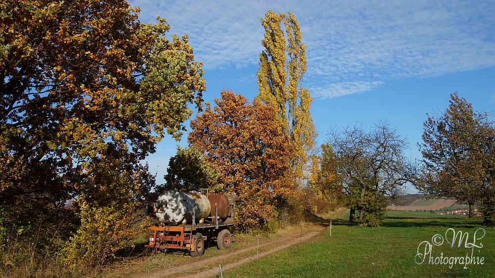 2013-10-22_154457_DSC06036_SONY_SLT-A57.jpg