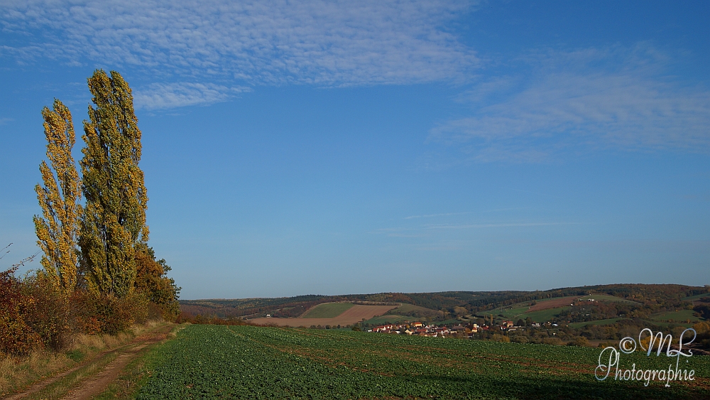 2013-10-22 154623 DSC06037 SONY SLT-A57