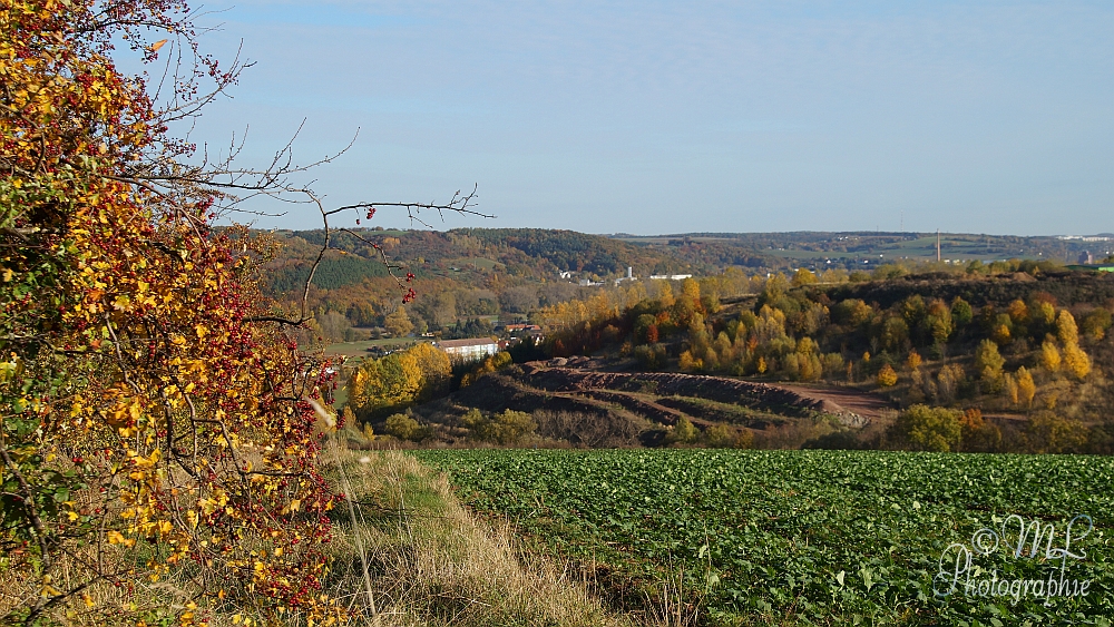 2013-10-22 155718 DSC06058 SONY SLT-A57