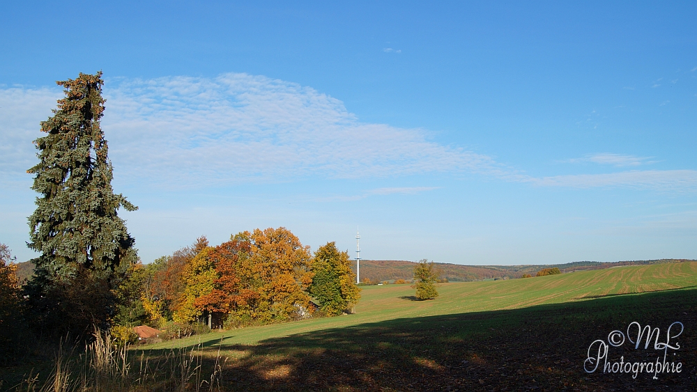 2013-10-22 160633 DSC06067 SONY SLT-A57