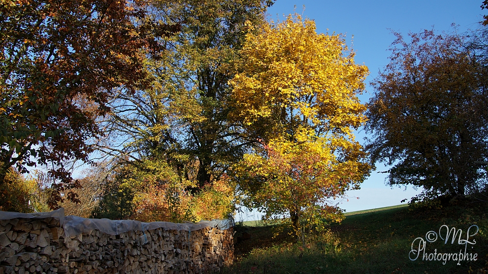 2013-10-22_160949_DSC06072_SONY_SLT-A57.jpg