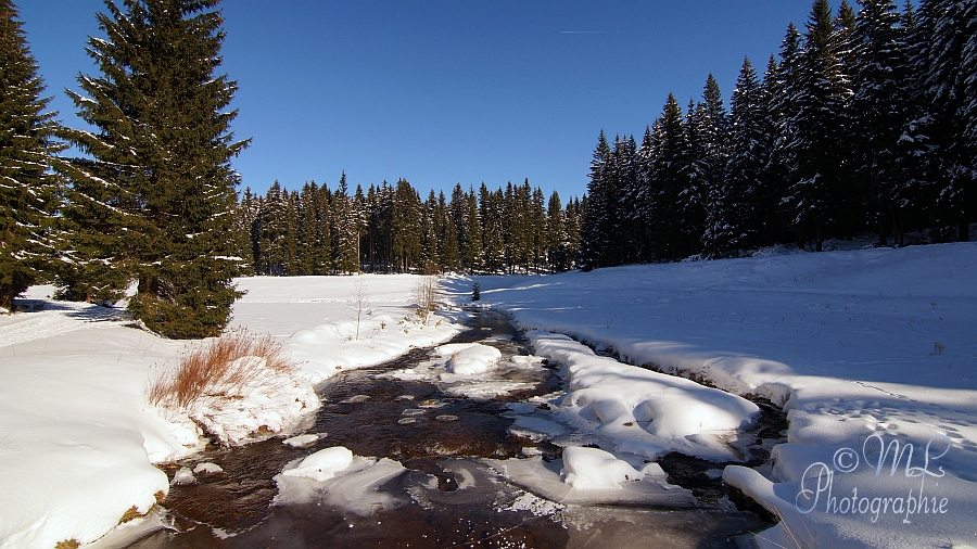 2015-02-07 125439 DSC09920 SONY SLT-A57