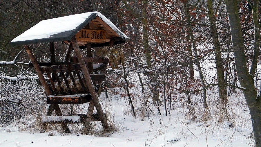 2012-12-09_154629_DSC00567_SONY_SLT-A57.jpg