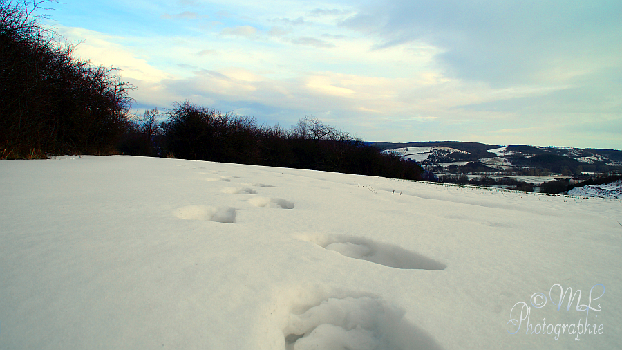 2012-12-15_133630_DSC01067_SONY_SLT-A57.jpg