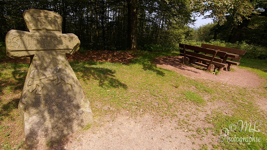 2014-07-26_121721_DSC07925_SONY_SLT-A57.jpg