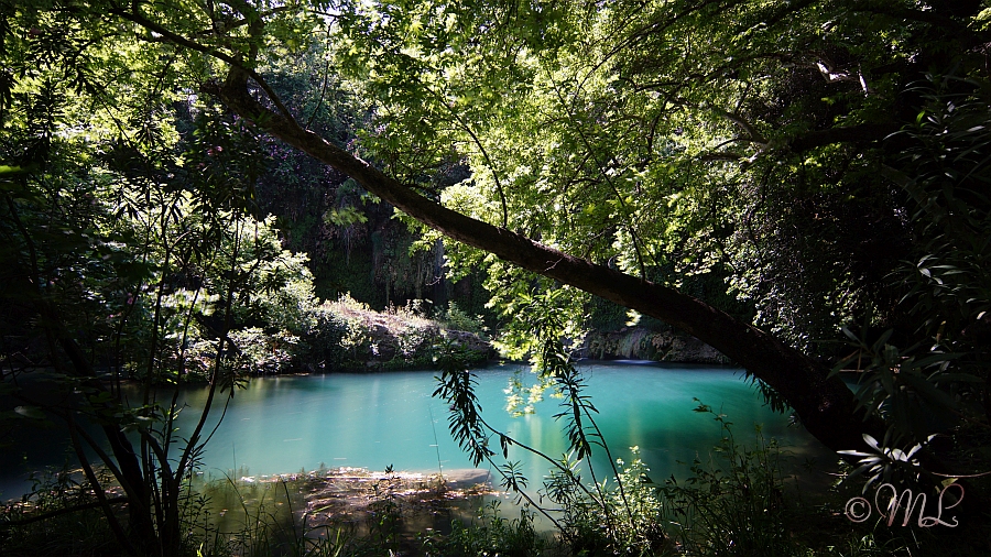 2018-05-14 134423 DSC01154 SONY ILCA-77M2 - 2018-05-14_134423_DSC01154_SONY_ILCA-77M2.jpg 2018-05-14_134423_DSC01154_SONY_ILCA-77M2.jpg