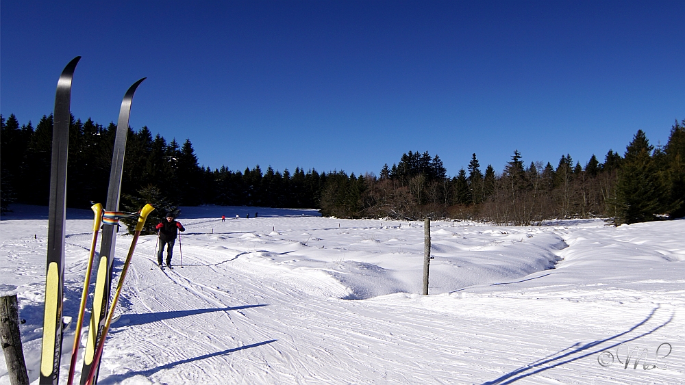 2019-01-20 134748 DSC03493 SONY ILCA77M2 - 2019-01-20_134748_DSC03493_SONY_ILCA77M2.jpg 2019-01-20_134748_DSC03493_SONY_ILCA77M2.jpg