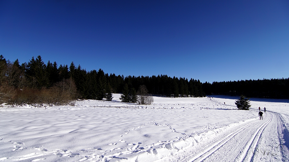 2019-01-20 135033 DSC03495 SONY ILCA77M2 - 2019-01-20_135033_DSC03495_SONY_ILCA77M2.jpg 2019-01-20_135033_DSC03495_SONY_ILCA77M2.jpg