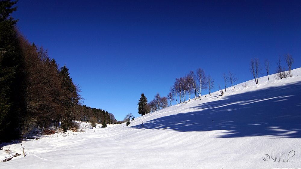 2019-01-20 144401 DSC03506 SONY ILCA77M2 - 2019-01-20_144401_DSC03506_SONY_ILCA77M2.jpg 2019-01-20_144401_DSC03506_SONY_ILCA77M2.jpg