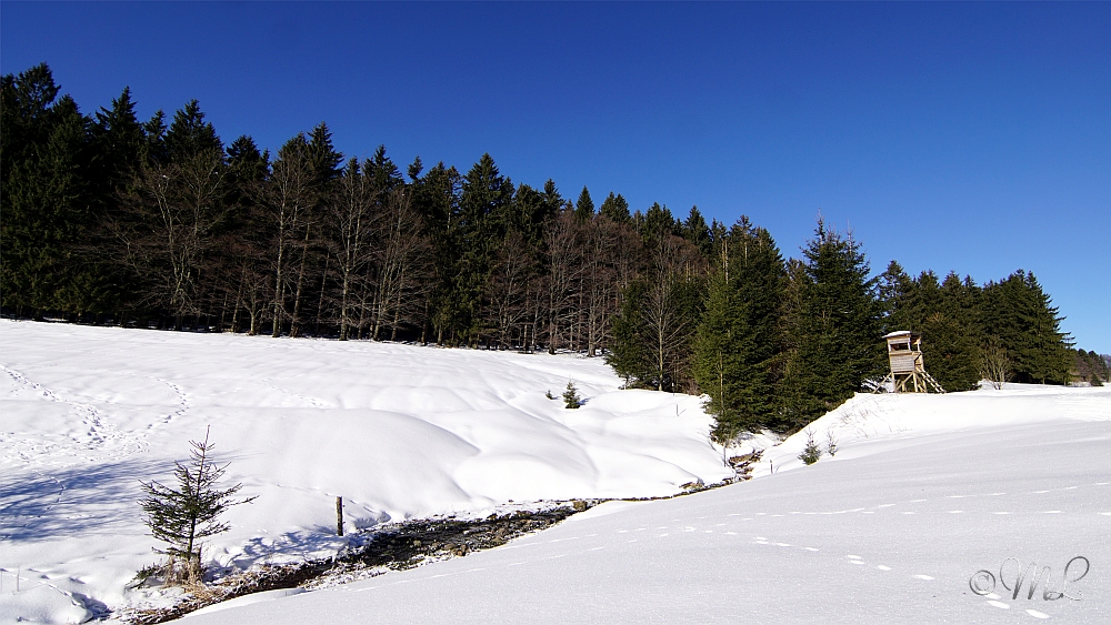 2019-01-20 144847 DSC03507 SONY ILCA77M2 - 2019-01-20_144847_DSC03507_SONY_ILCA77M2.jpg 2019-01-20_144847_DSC03507_SONY_ILCA77M2.jpg
