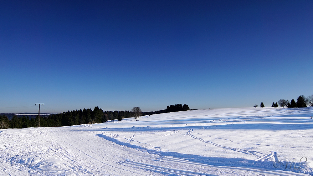2019-01-20 155049 DSC03508 SONY ILCA77M2 - 2019-01-20_155049_DSC03508_SONY_ILCA77M2.jpg 2019-01-20_155049_DSC03508_SONY_ILCA77M2.jpg