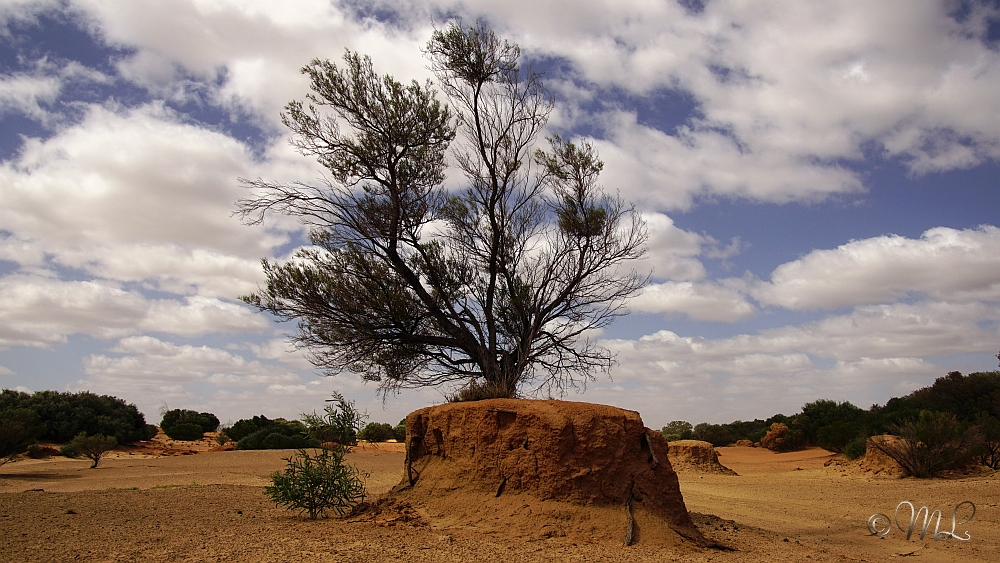 Perry Sand Hills 2019-03-30_150816_DSC05008_SONY_ILCA-77M2.jpg