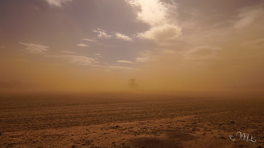 Glenalbyn - Sandsturm 2019-03-29_153636_DSC04867_SONY_ILCA-77M2.jpg