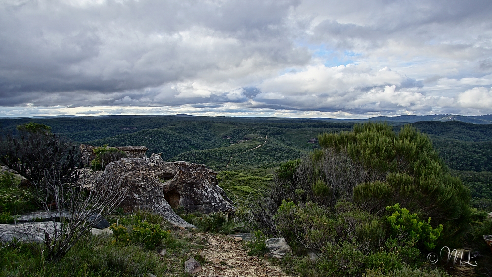 Blue Mountains National Park 2019-03-19_175524_DSC04070_SONY_ILCA-77M2.jpg