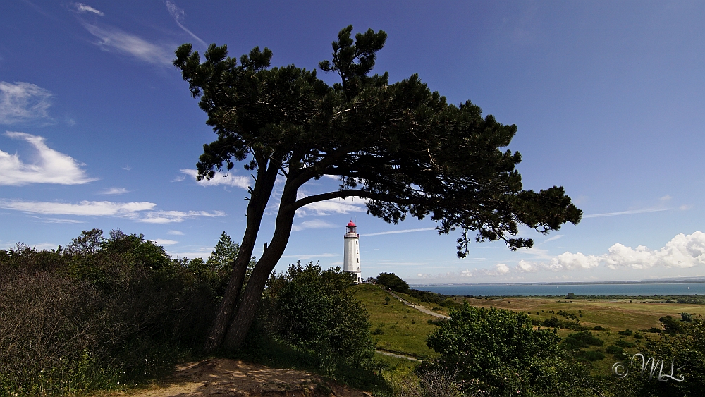 Leuchtturm Dornbusch - Schluckswiek - Insel Hiddensee 2019-06-28_144006_DSC05858_SONY_ILCA-77M2.jpg